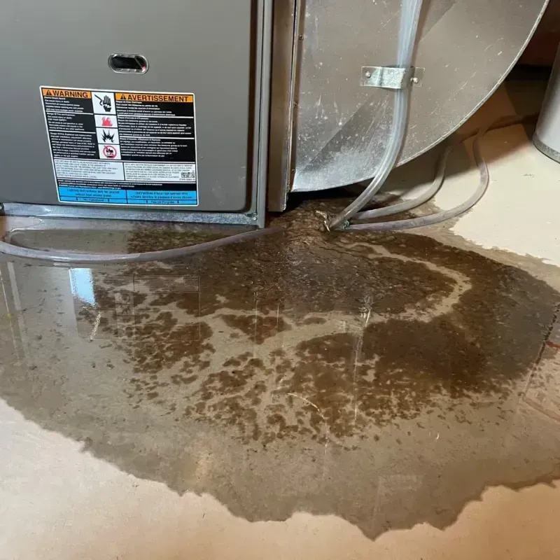 Appliance Leak Cleanup in Fort Pierce North, FL